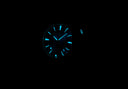 Steel Torsk GMT 39 - Natural Meteorite Tsao Baltimore