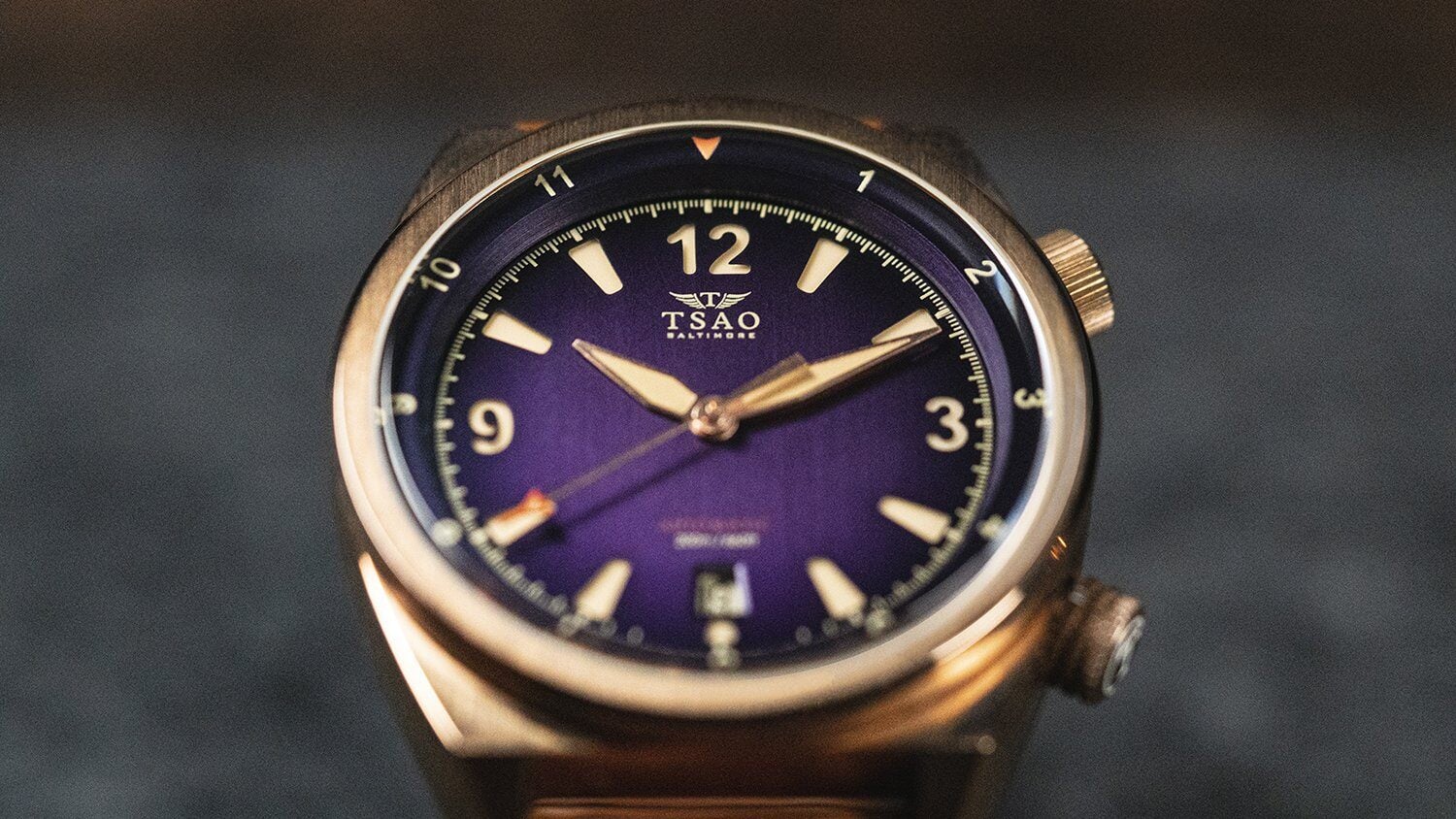 ravenbronze1_4defb5a2-2654-