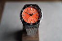 Steel Torsk-Diver Pro Camden Orange Tsao Baltimore 